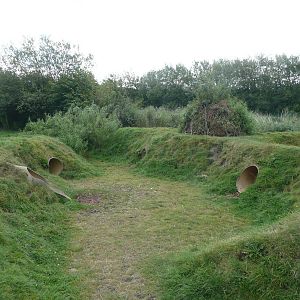 Water Vole City