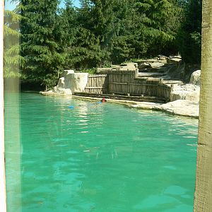 Polar bears enclosure - pool