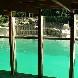 Polar bears enclosure - pool