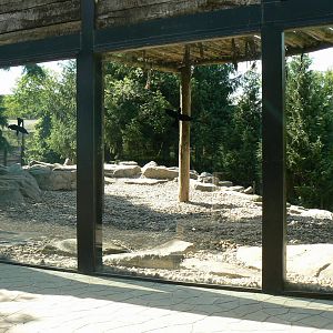 Polar bears enclosure - ground part