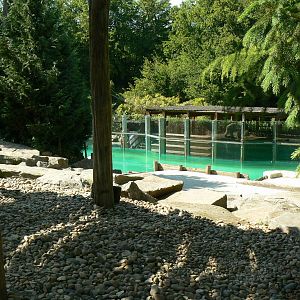Polar bears enclosure - ground part