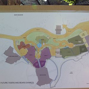 Future Plans - Asian Tropical Forest Overview