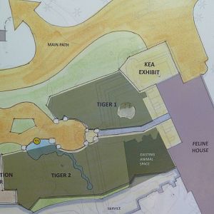 Future Plans - Asian Tropical Forest Close-Up #1