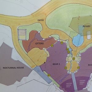 Future Plans  - Asian Tropical Forest Close-Up #2