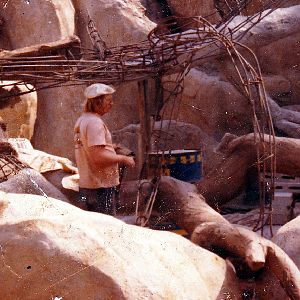 orangutan exhibit in 70's