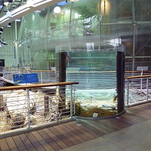 Osher Rainforest - Exterior