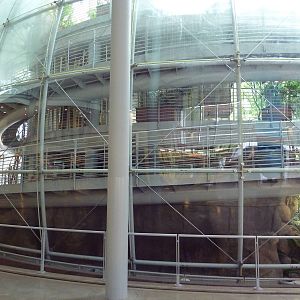 Osher Rainforest - Exterior