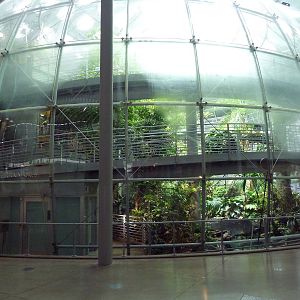 Osher Rainforest - Exterior