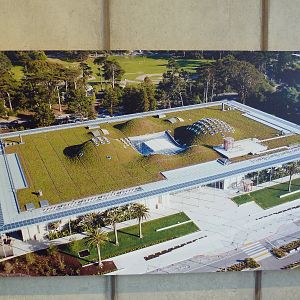 2.5 Acre Living Roof - Photo