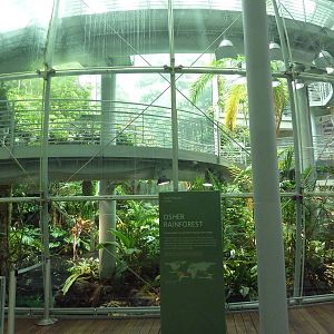 Osher Rainforest - Exterior