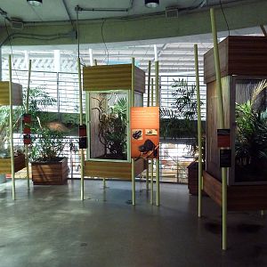 Osher Rainforest - Madagascar Exhibits