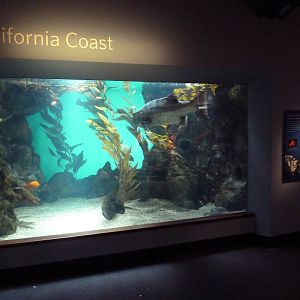 California Coast Exhibit