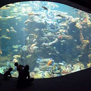 California Coast Exhibit