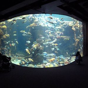 California Coast Exhibit