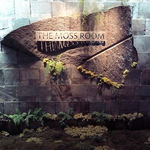 The Moss Room - Fine Dining Restaurant