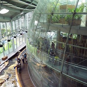 Osher Rainforest - Exterior