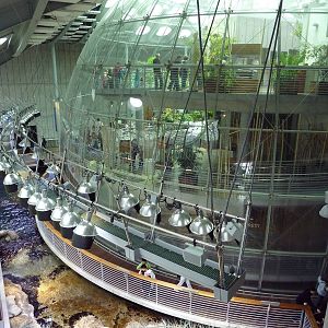 Osher Rainforest - Exterior