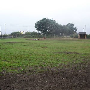 World Farm Paddock - 04/09/2011