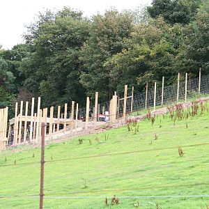 Lemur walkthrough construction