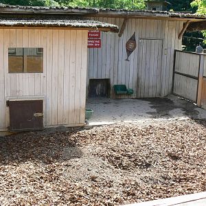 Safari lodge - red river hogs second enclosure