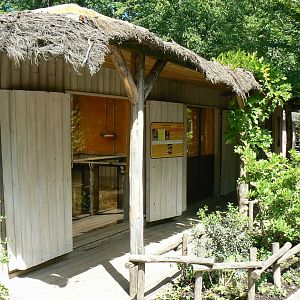 Safari lodge - red river hogs house