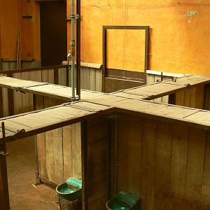 Safari lodge - red river hogs house interior