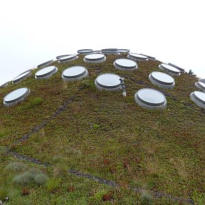 2.5 Acre Living Roof