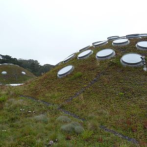 2.5 Acre Living Roof
