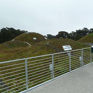 2.5 Acre Living Roof