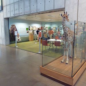 Early Explorers Cove - Entrance