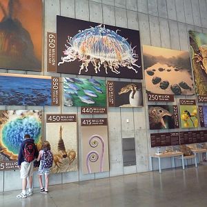 Islands Of Evolution