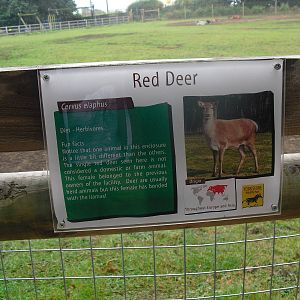 Red Deer Sign - 06/09/2011