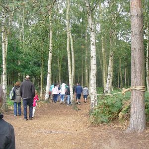 Approaching Lemur Woods - 06/09/2011