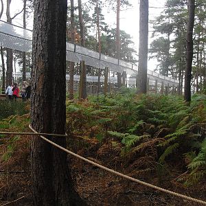 Lemur Woods - Enclosure Exterior - 06/09/2011