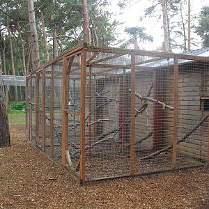 Lemur Woods - Lemur Cages (?) - 06/09/2011
