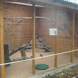 Burrowing Owl Aviary - 06/09/2011