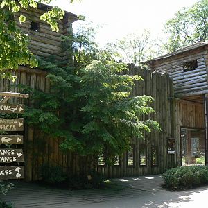 American forest and fort cheyenne - Eurasian lynx exhibit