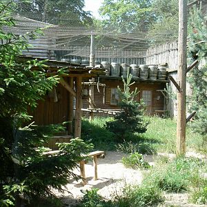 American forest and fort cheyenne - Eurasian lynx exhibit