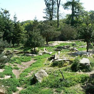 American forest and fort Cheyenne - Grey wolves exhibit