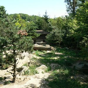 American forest and fort Cheyenne - Grey wolves exhibit