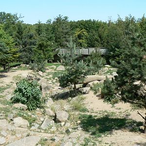 American forest and fort Cheyenne - Grey wolves exhibit