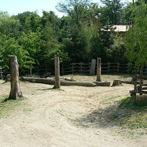 American forest and fort Cheyenne - American bisons exhibit