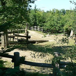 American forest and fort Cheyenne - American bisons exhibit