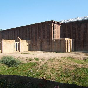 View of Elephant enclosure