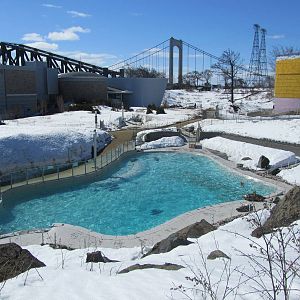 View of Arctic Seals Pool and the St Lawrence Bridges.