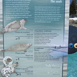 Arctic Seal Information Sign