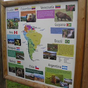 South America Viva - Signage - 06/09/2011