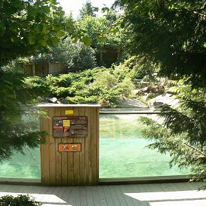 Canadian river otters exhibit