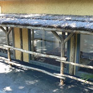 Peruvia - Giant anteaters house