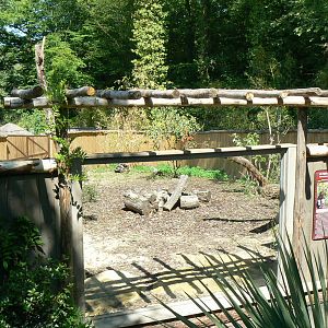 Peruvia - Giant anteater exhibit